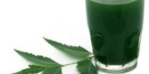 Neem Juice