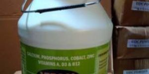 Vircal Calcium Suspension Liquid Feed Supplement