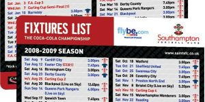 Plastic Pre-Printed Store Membership Cards