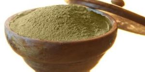 Tulsi Extract Powder