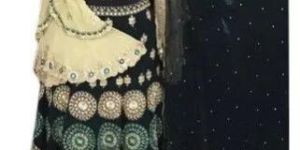 Ladies Party Wear Lehenga