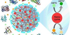 Nanozyme-BET-STP-9012