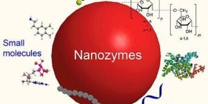 Nanozyme-BET-STP-9013