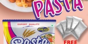 Macaroni with Seasoning Masala