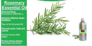 Rosemary Essential Oil