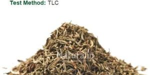 Thyme Extract