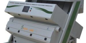 Fresh Garlic Color Sorter