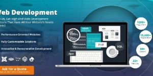 Web Development Services