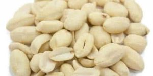 Roasted Blanched Peanuts