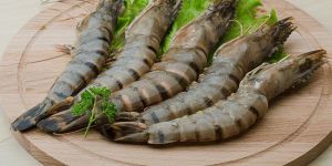 Fresh Tiger Prawns