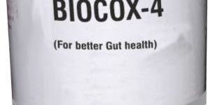 Biocox 4 Poultry Supplement