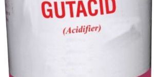 Liquid GUTACID