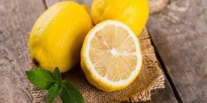 Fresh Lemon
