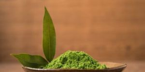 Green Tea Powder