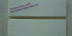 White Smooth Bone Scales