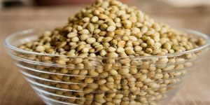 Whole Coriander