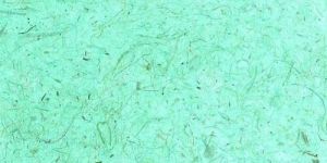 Handmade Banana Paper