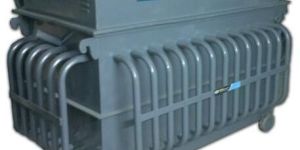 Variac Type Servo Stabilizer