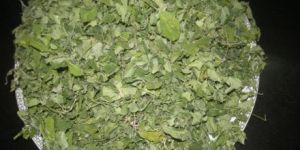 Moringa Dried Leaf