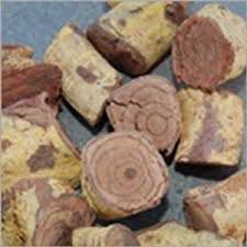 Salacia Reticulata Root