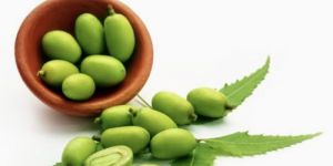 Neem Fruit