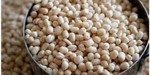 Whole Urad Dal