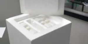Pharmaceutical Packaging Thermocol Boxes
