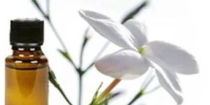 Jasmin Essential Oil