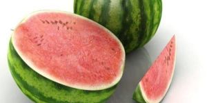 Watermelon Seed Oil