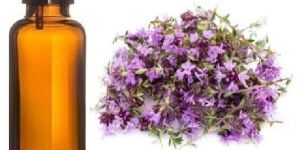 WILD THYME ESSENTIAL OIL