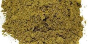 Adathoda Raw Powder