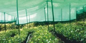 Indotex Agro Shade Net