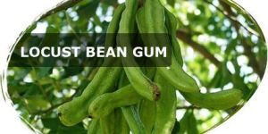 Locust Bean
