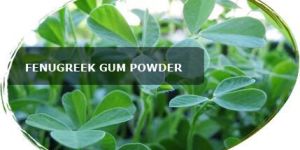 Psyllium Husk Powder