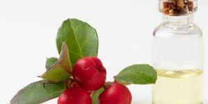 Wintergreen Oil