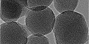 MESOPOROUS SILICA NANOPARTICLES