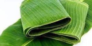 Fresh Banana Leaf