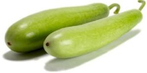 Fresh Bottle Gourd