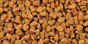 Fenugreek Seeds