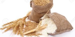 Food Milling Wheat
