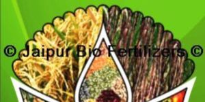 Plant Growth Promoters