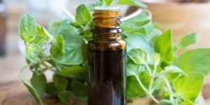 Oregano Oil