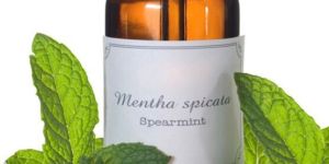 Spearmint Oil