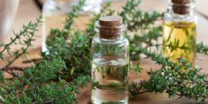 Thyme Oil