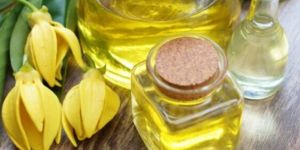 Ylang Ylang Oil