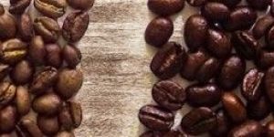 Roasted Coffee Beans