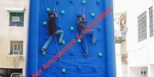 Bouncy Rock Climbing Inflatable
