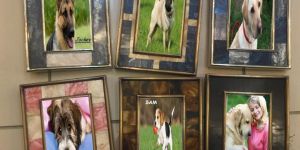 Photo Frames