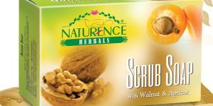 Scrub Soap