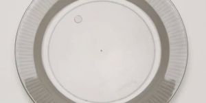 Plastic Disposable Snack Plate